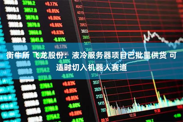 衡牛所 飞龙股份：液冷服务器项目已批量供货 可适时切入机器人赛道