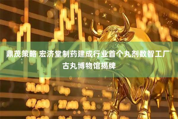 鼎茂策略 宏济堂制药建成行业首个丸剂数智工厂 古丸博物馆揭牌