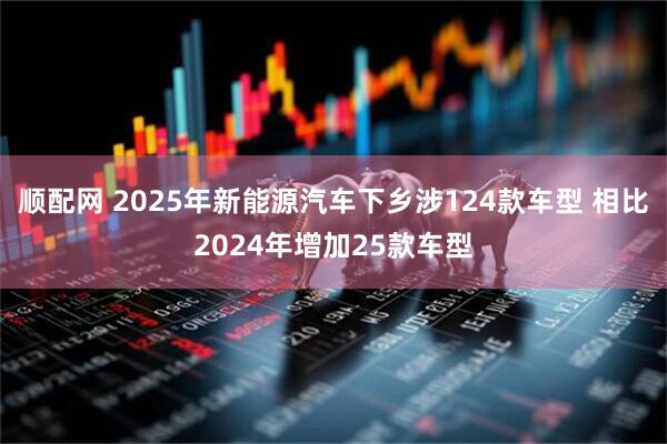 顺配网 2025年新能源汽车下乡涉124款车型 相比2024年增加25款车型