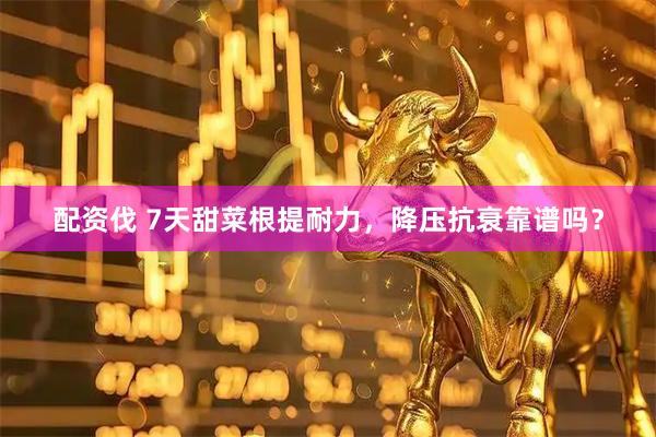 配资伐 7天甜菜根提耐力，降压抗衰靠谱吗？